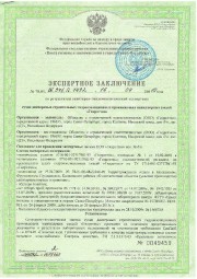 Лицензия г. Дедовск